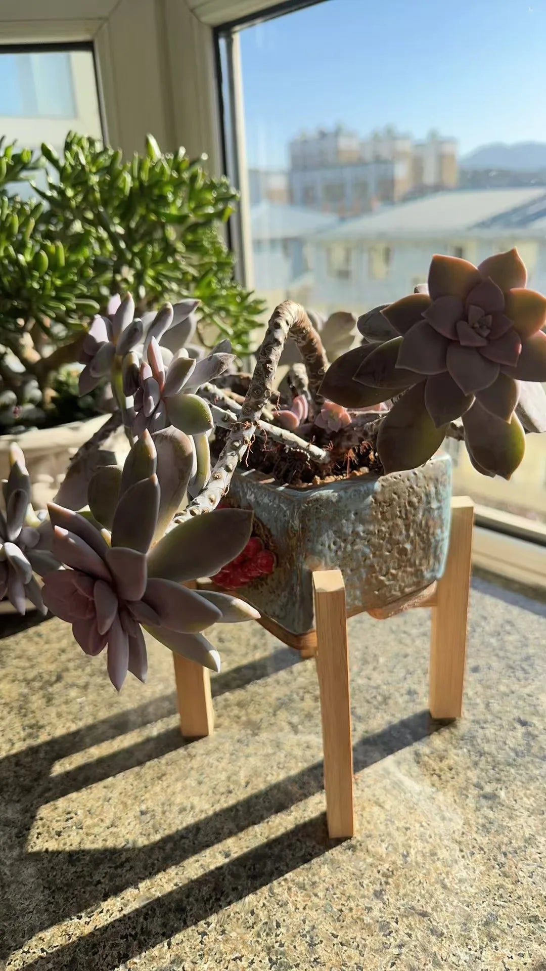 Natural Bamboo Plant Stand — Elegant Multi-Tier Display
