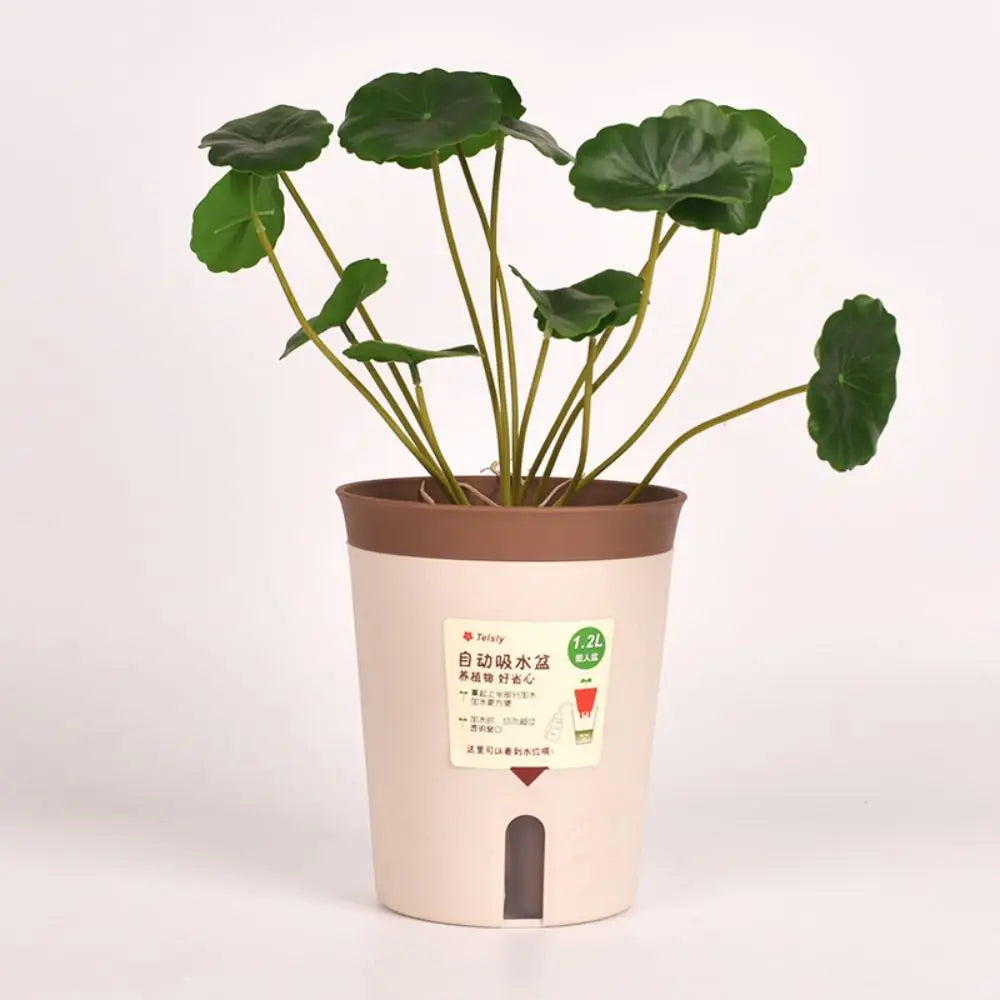 Self-Watering Planter — Lazy Hydroponic Flower Pot